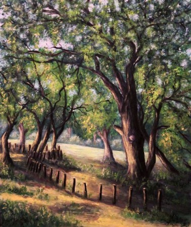 Reggel az őstölgyesben 60x50 cm